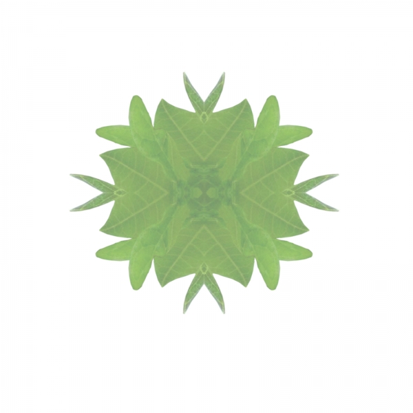Creation of psychadelic plant: Step 10